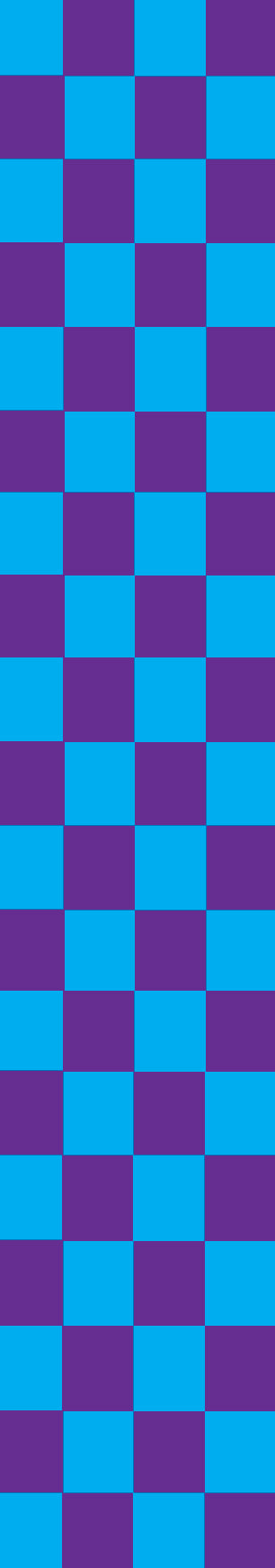 Checker Pattern