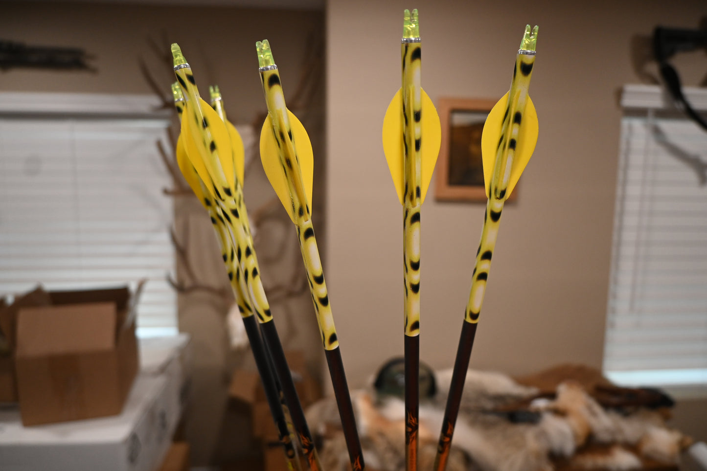 Yellow Circles