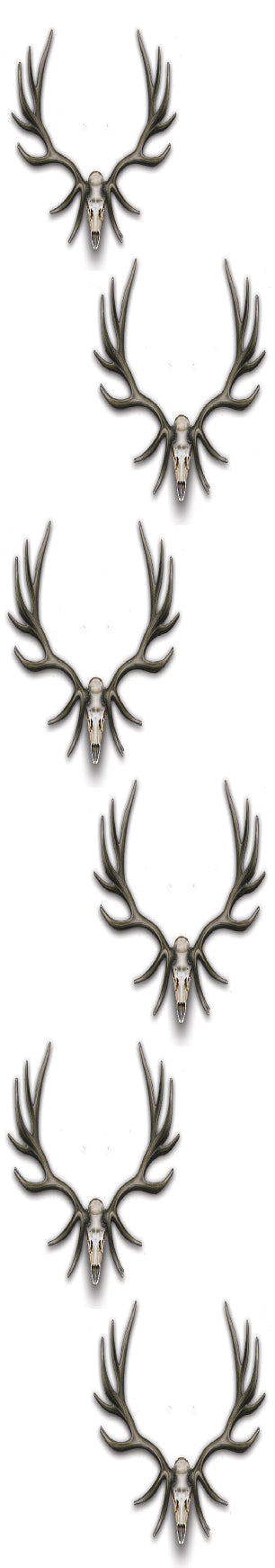 Bull Elk Skulls