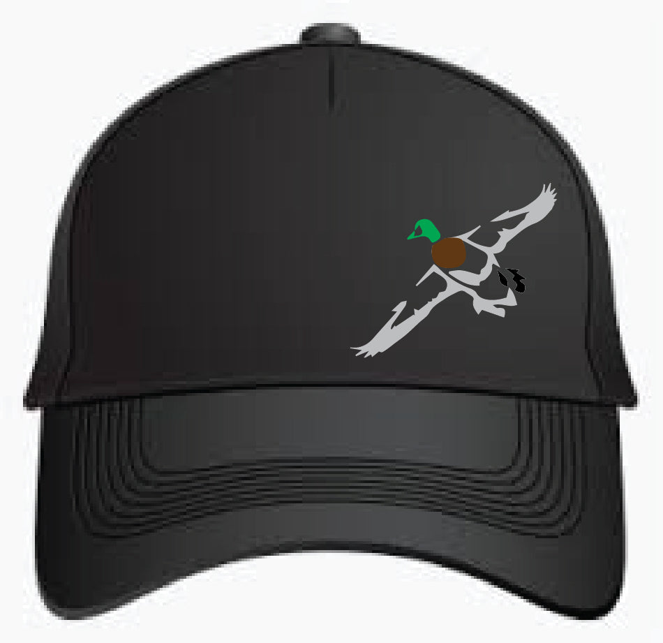 Fly By