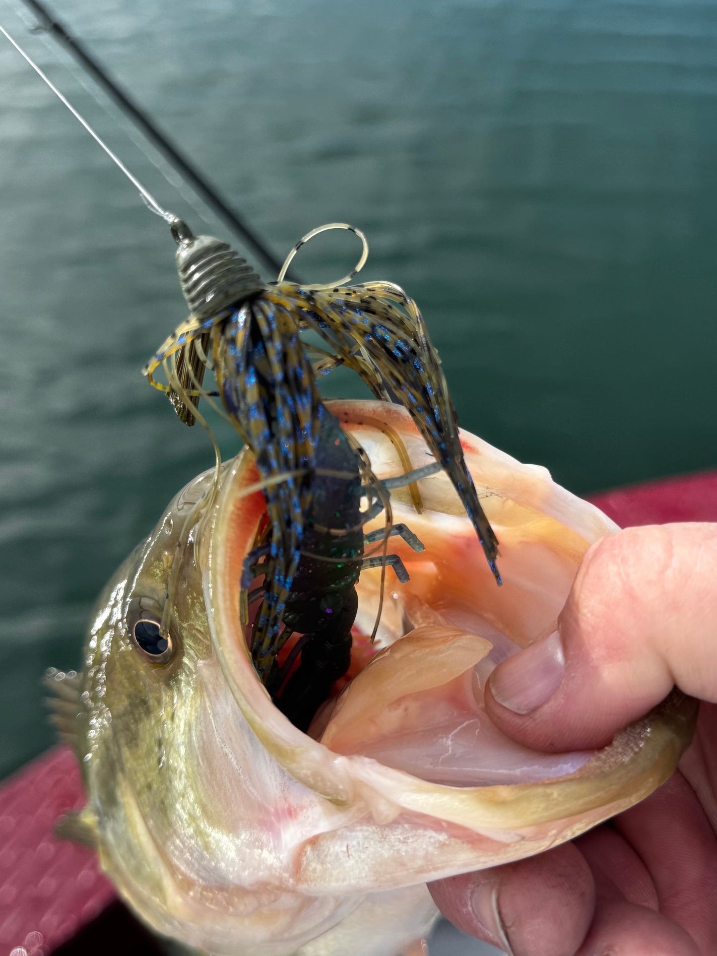 3 Inch Crawfish