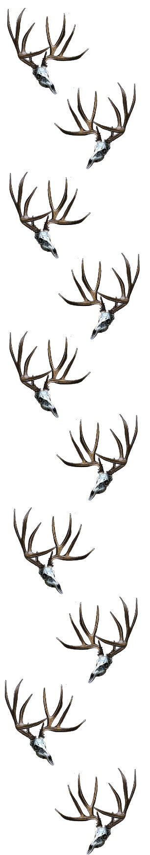 Mule Deer Skulls